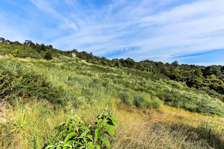 102 Griggs Road East Tamaki_17