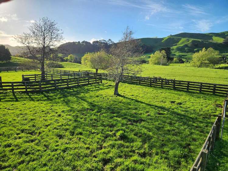 899 Te Akau Road Te Akau_13