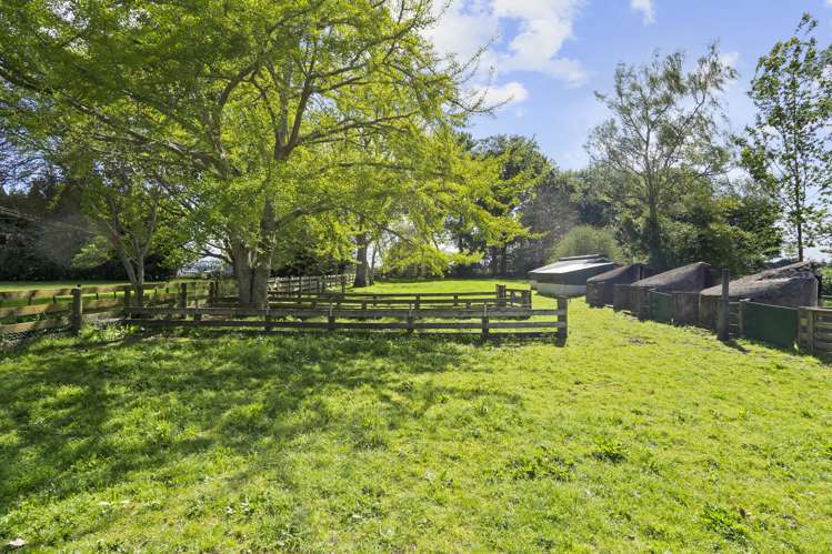 73 Massey Road Rotoorangi_25