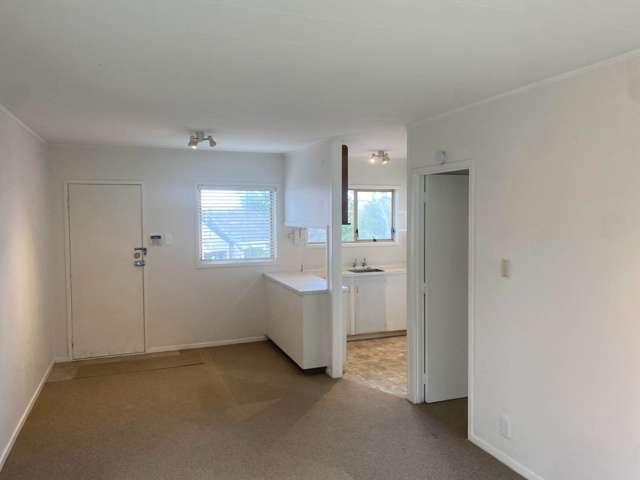 14/30 Ascot Avenue Remuera_1