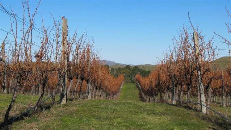 Tetley Brook Road Seddon_6