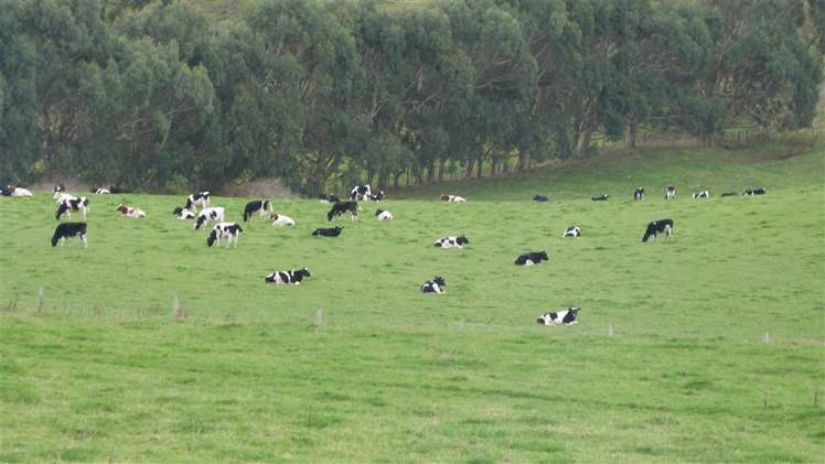 44 Rodgers Road Catlins Surrounds_18