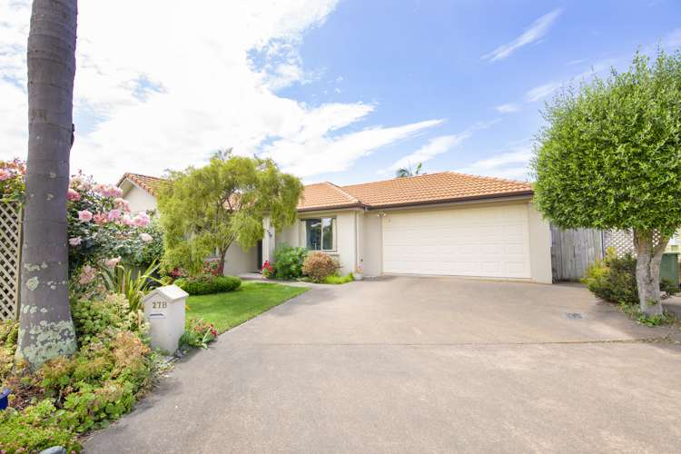 27b Pembroke Street Taradale_1