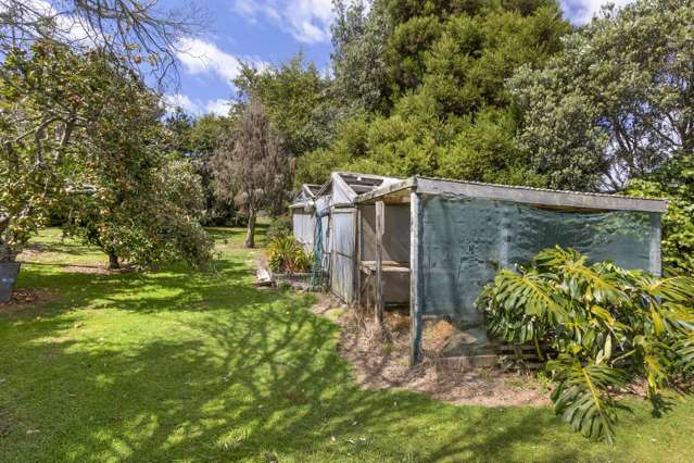 67 Brown Road Waitara_1