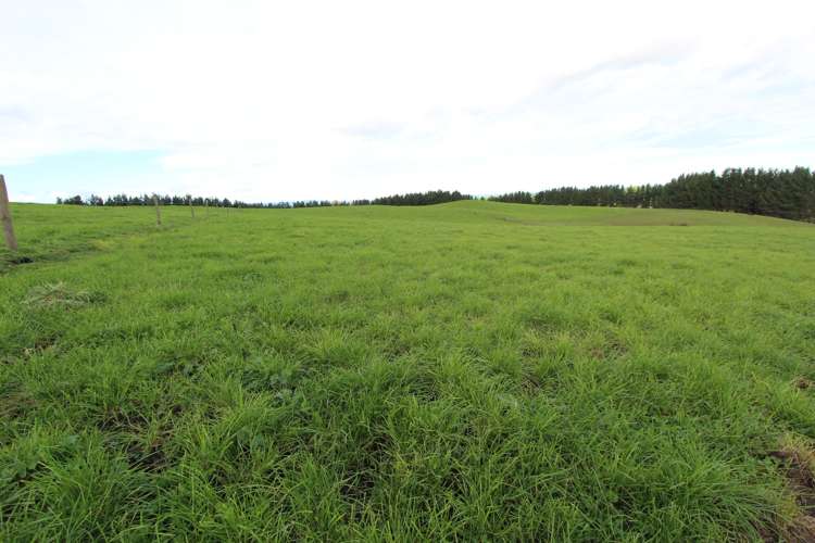 553 Buckland Road Matamata_8