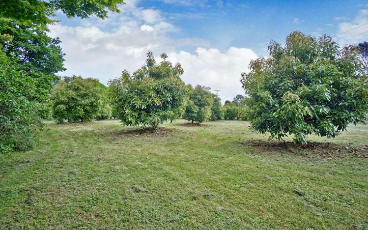 651 Rangiuru Road Te Puke_23