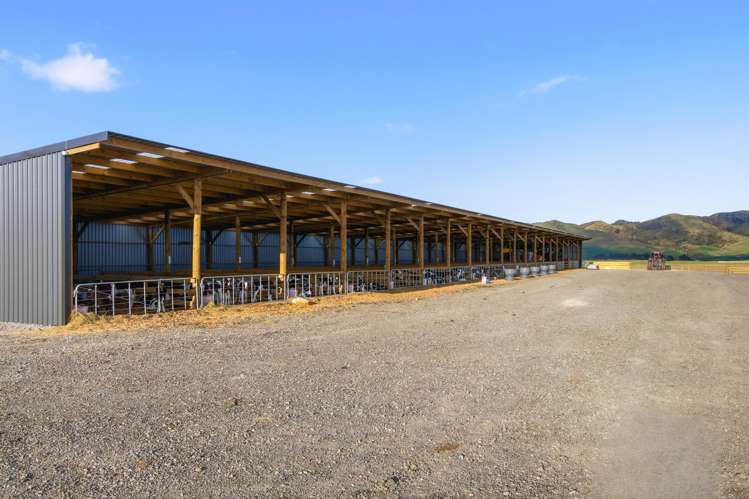 2/1389 Taharua Road Rangitaiki_10