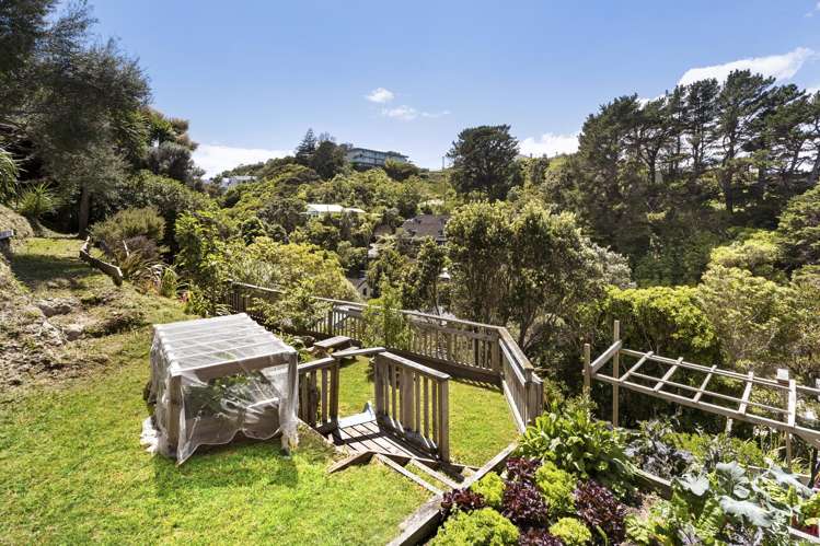 54 Liardet Street Vogeltown_13