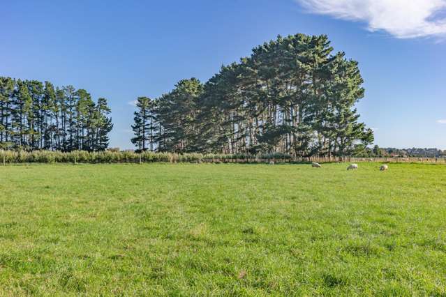 25 Boulton Road Levin_4