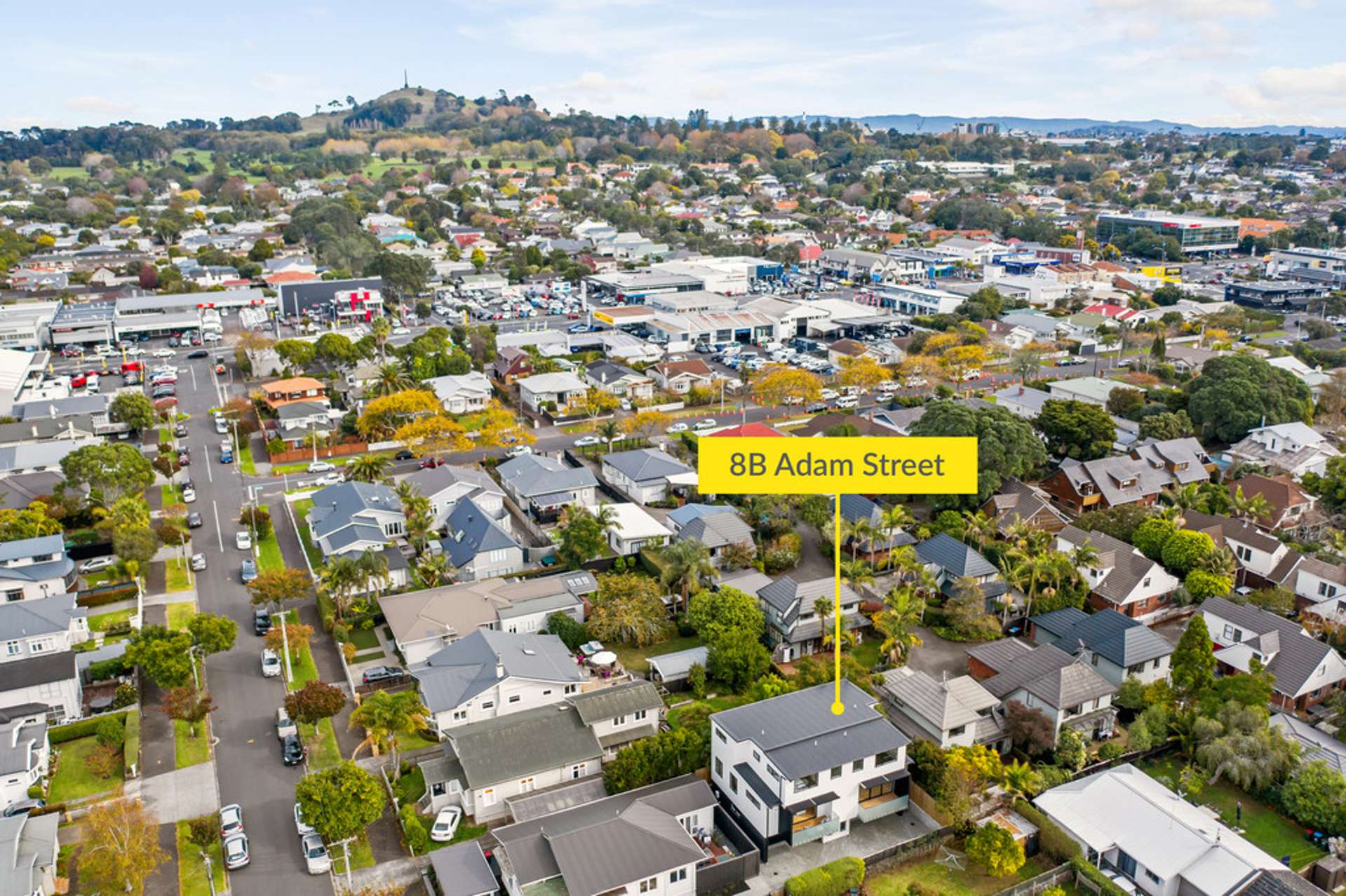 8b Adam Street Greenlane_0