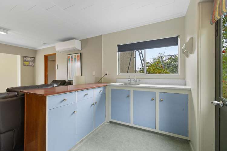 48a Earnscleugh Road Alexandra_17