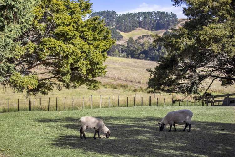 237 Stoney Creek Road Kaukapakapa_38