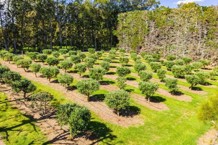 179 Pukeatua Road Maungatapere_18