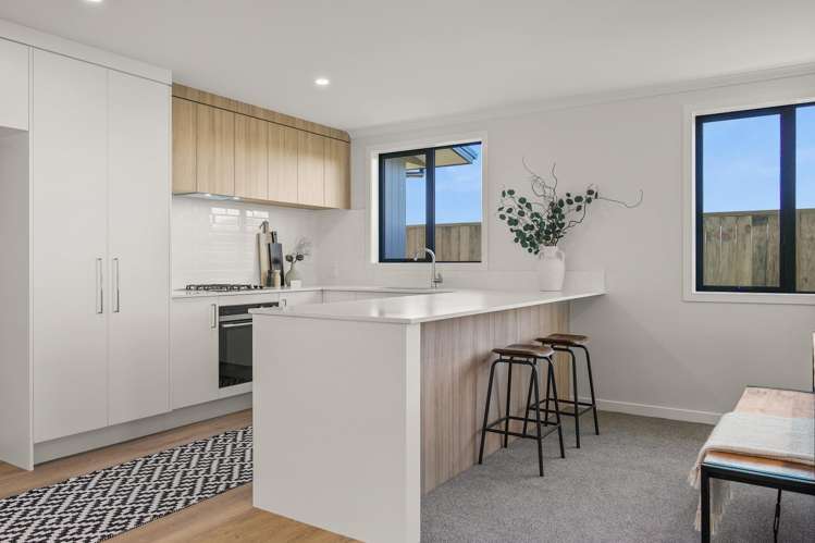 50 Kotukutuku Street_5