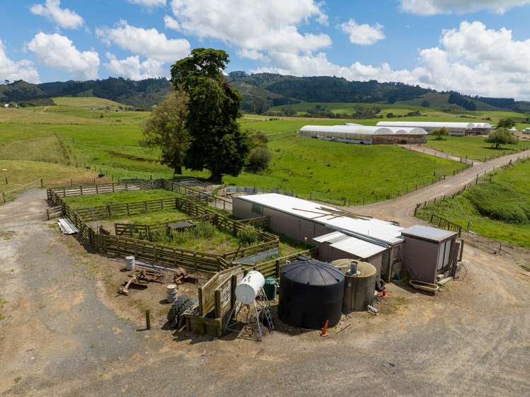 224 Herbert Road Morrinsville_17