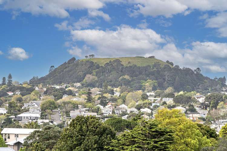 14 Dally Terrace Mount Roskill_8