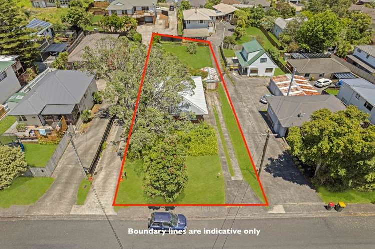 75 Awaroa Road Sunnyvale_24