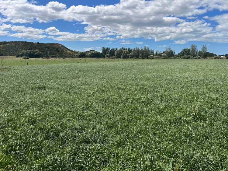 381 Island Stream Road Maheno_14