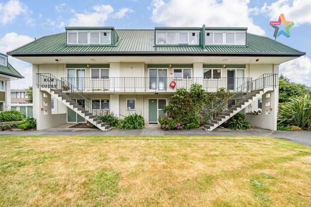 BRILLIANT OPPORTUNITY IN PETONE