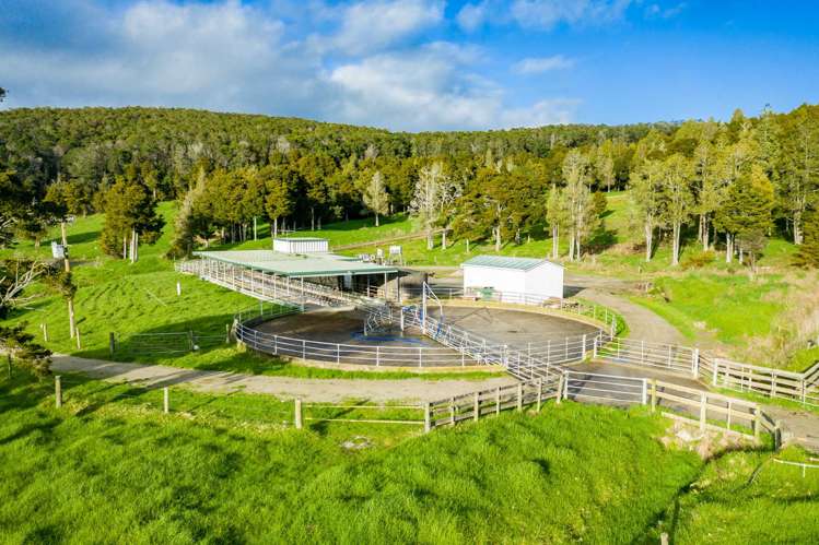 1053 Waihue Road Dargaville Surrounds_2