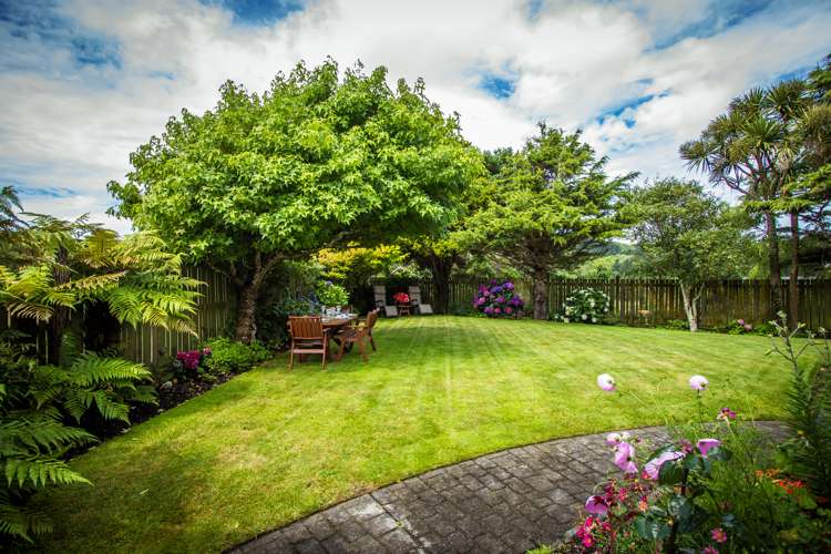 10 Wantwood Grove Churton Park_5