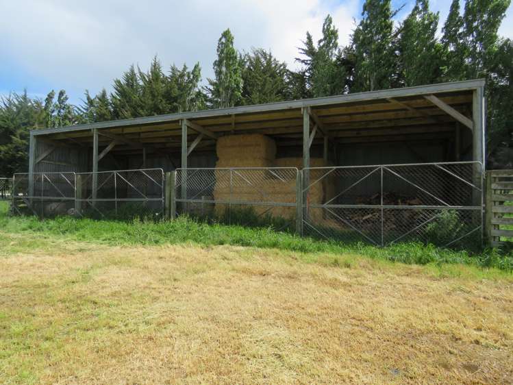 146 Elgin Road Elgin_10