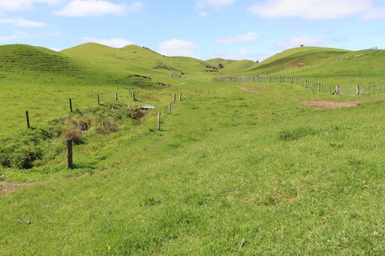 318 Kupara Road Tariki_27