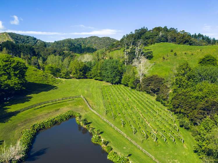 160A Twilight Road Clevedon_8