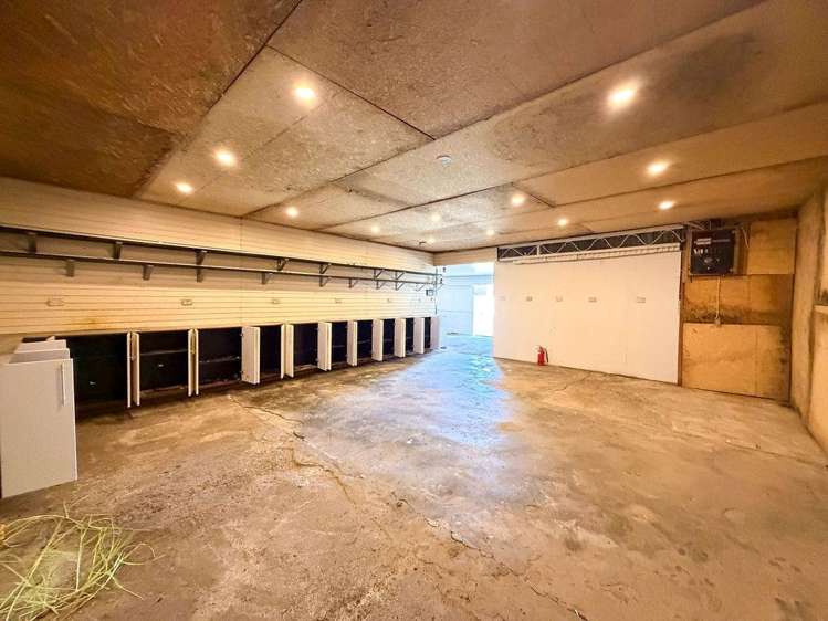 127 Trigg Road Kumeu_21