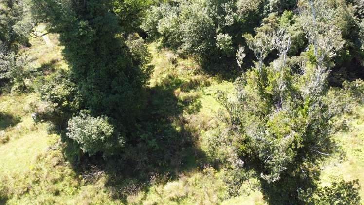 254 Doughboy Road Kokatahi_70