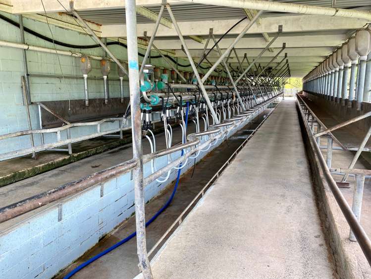 1371 Waihue Road Dargaville Surrounds_8