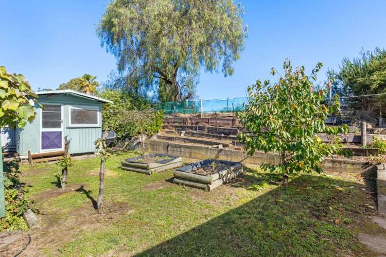 219 High Street Blenheim_29