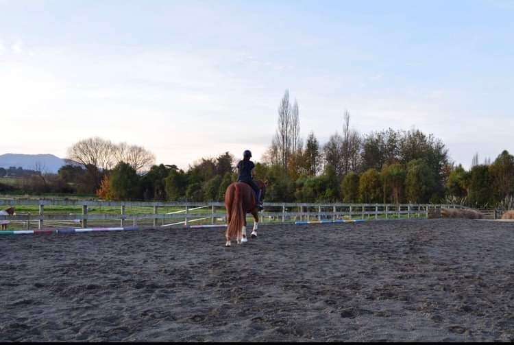 211 Sercombe Road Geraldine_19