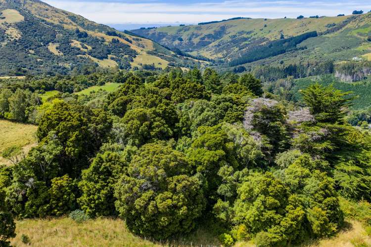 342 Le Bons Bay Road Le Bons Bay_39