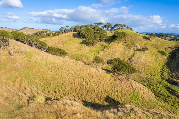 Kawhia Road (SH 31) Kawhia_13