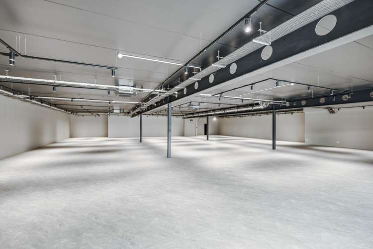 22 Munroe Street Napier South_9