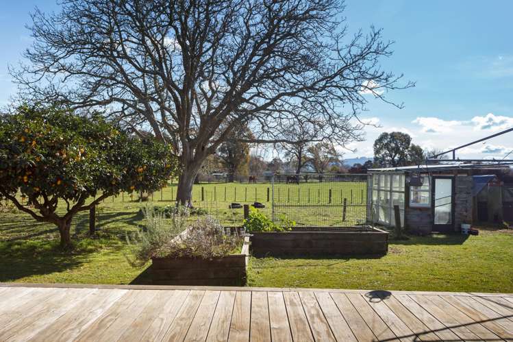 449 Taukoro Road Morrinsville_20
