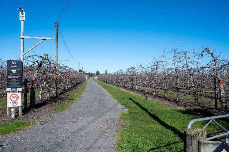 20 Parsons Road Meeanee_22