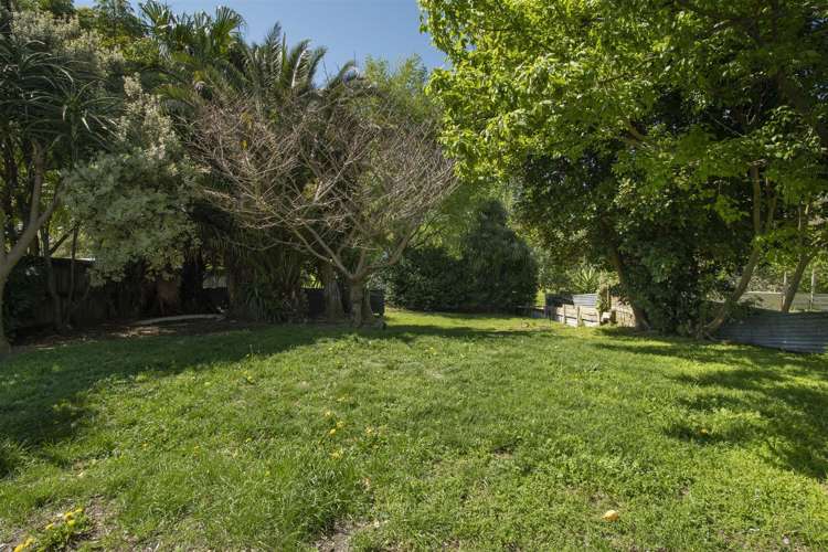 15a King Street Te Puke_13