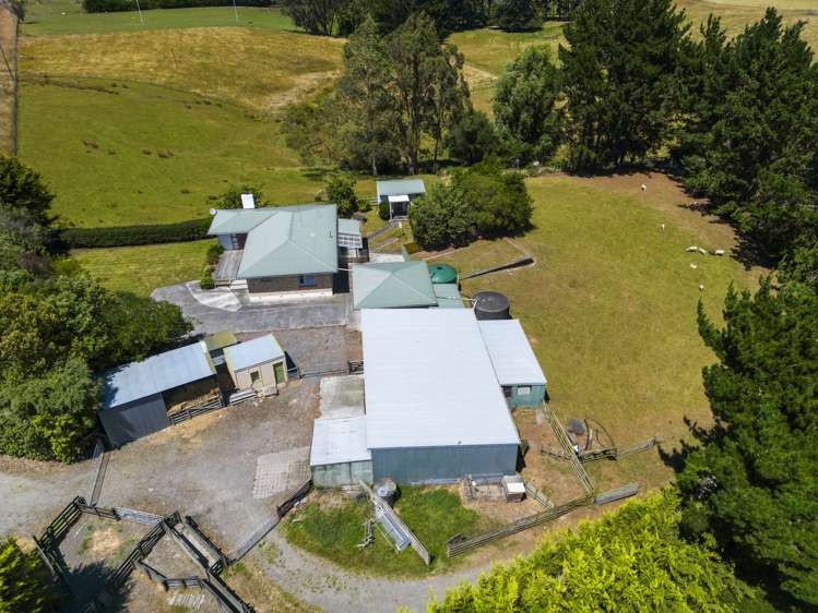 1797 State Highway 3 Awahuri_18