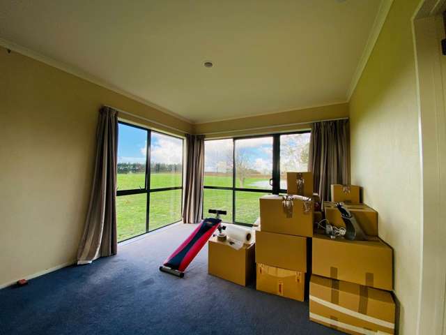 286 Gun Club Road Pukekohe_4