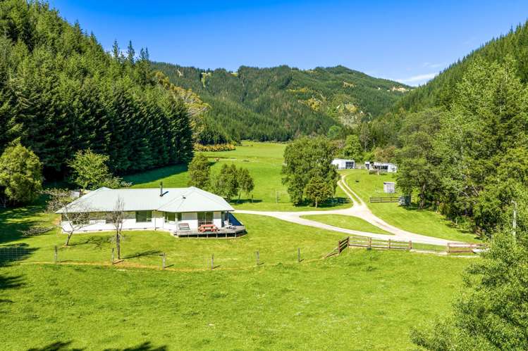 1005 Onamalutu Road Onamalutu_25