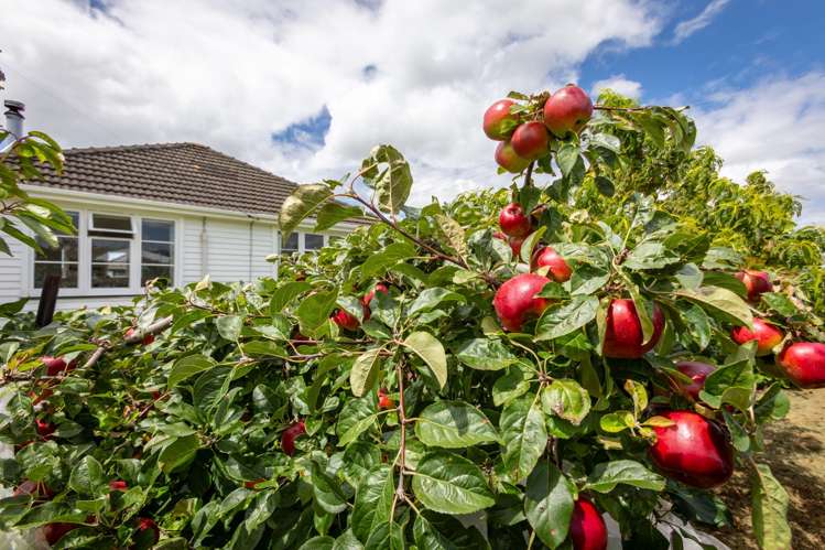 21 Hall Street Woodville_29