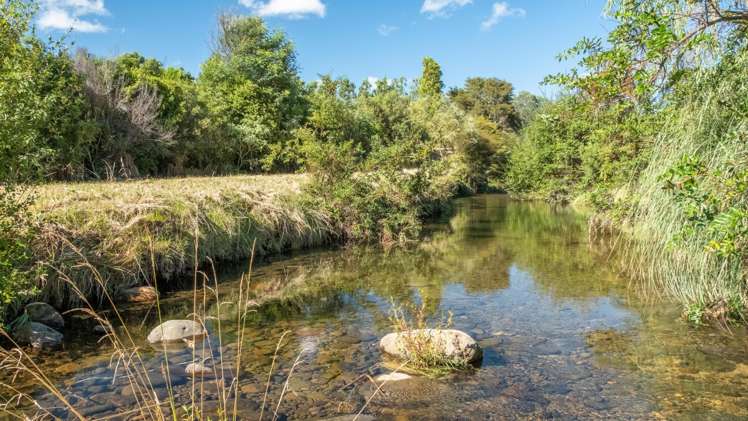 30c Thompsons Track Aongatete_15