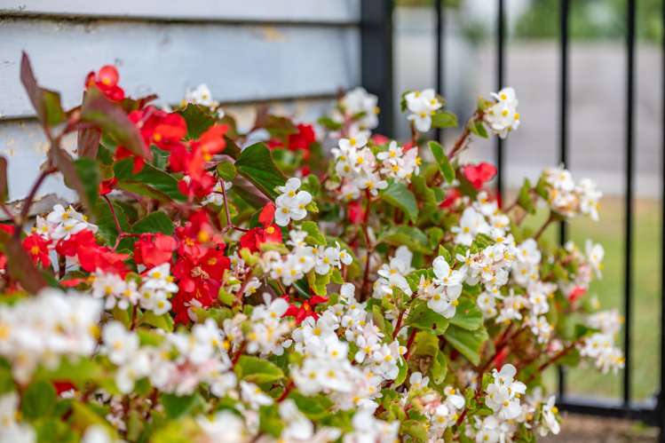 1B Tomin Road Glenview_26