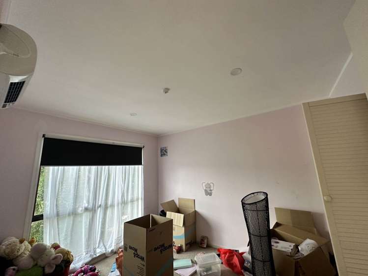 161 Don Buck Road Massey_6