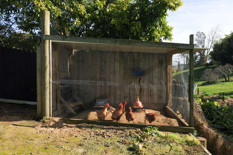 1 Acacia Avenue Kihikihi_30