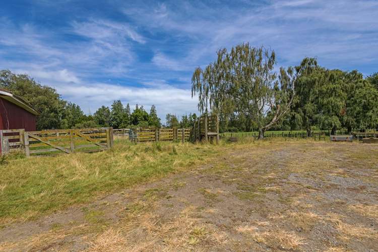 2054 Kimbolton Road Kiwitea_11