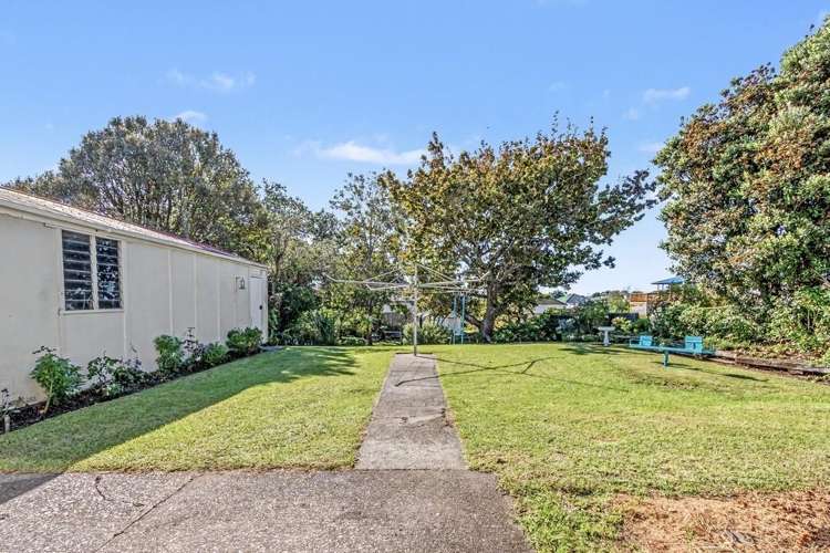 14 Toi Street Tawhero_28