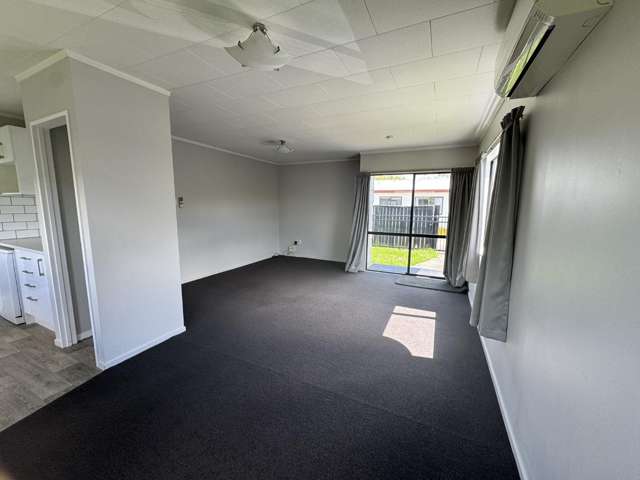 120B Nixon Street Hamilton East_3